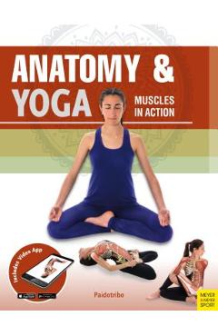 Coperta cărții 'Anatomy & Yoga: Muscles in Action - Mireia Patino Coll'