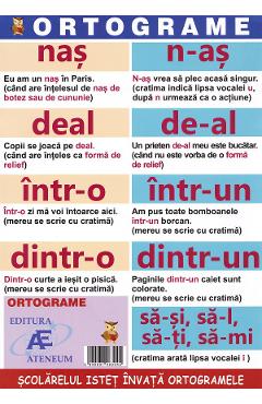 Ortograme. Scolarelul istet invata ortogramele