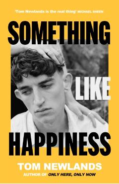 Something Like Happiness - Tom Newlands