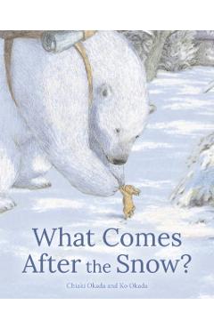What Comes After the Snow? - Chiaki Okada