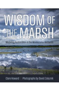 Wisdom of the Marsh: Modeling Restoration in the Montezuma Wetlands - Clare Howard