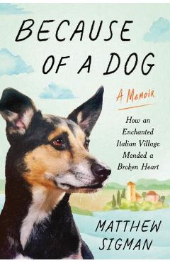Coperta cărții 'Because of a Dog: How an Enchanted Italian Village Mended a Broken Heart - Matthew Sigman'
