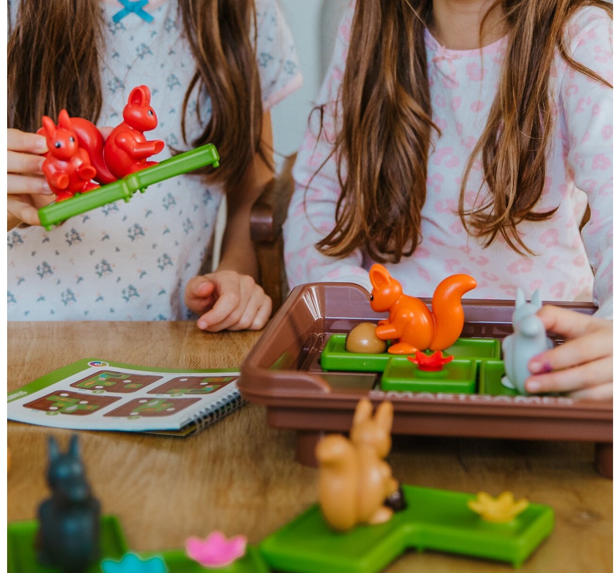 Imaginea produsului 'Joc de logică tip puzzle: Squirrels Go Nuts XXL'