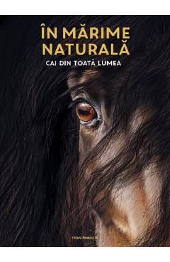 Coperta cărții 'În mărime naturală. Cai din toată lumea - Susan Niessen'