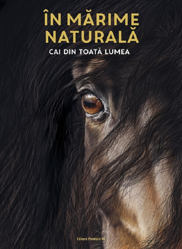 Coperta cărții 'În mărime naturală. Cai din toată lumea - Susan Niessen'