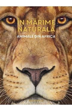 In marime naturala. Animale din Africa - Holger Haag