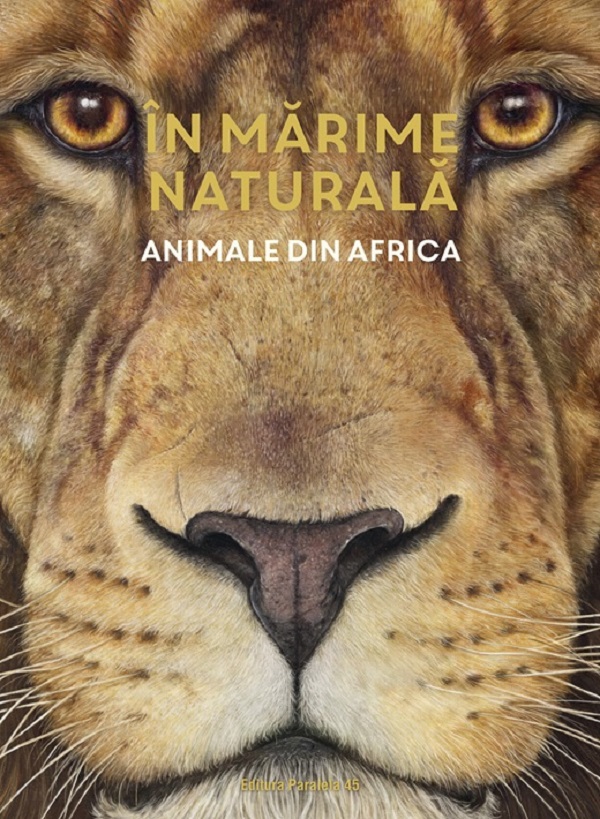 Coperta cărții 'În marime naturală. Animale din Africa - Holger Haag'