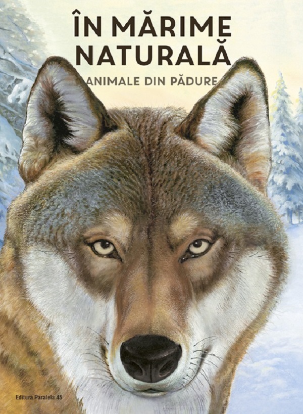 Coperta cărții 'În marime naturală. Animale din padure - Holger Haag'