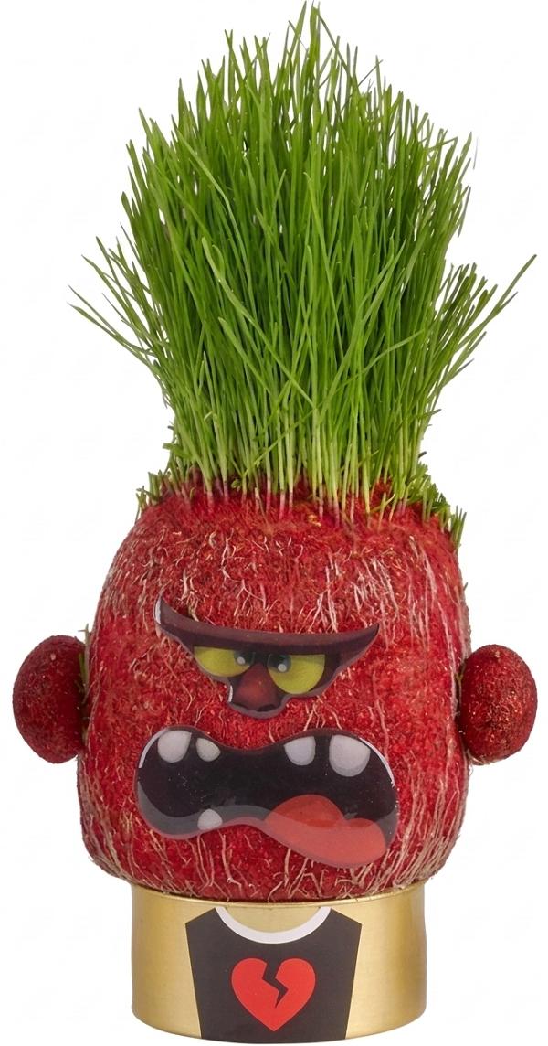 Imaginea produsului 'Păpușa cap de iarbă: Angry Annie'