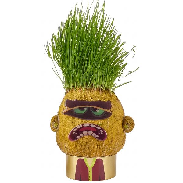 Papusa cap de iarba: Moody Mary