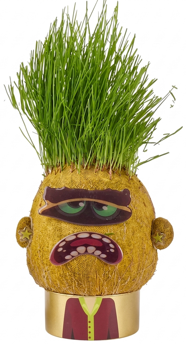 Imaginea produsului 'Păpușa cap de iarbă: Moody Mary'