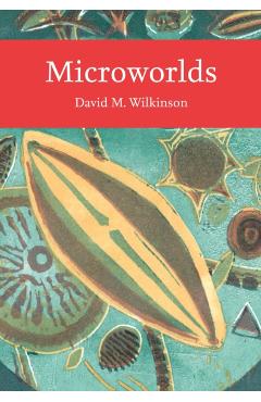 Microworlds