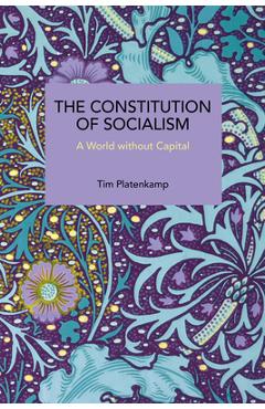 Coperta cărții 'The Constitution of Socialism - Tim Platenkamp'