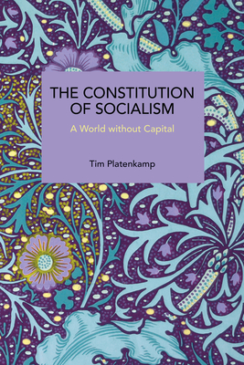 Coperta cărții 'The Constitution of Socialism - Tim Platenkamp'