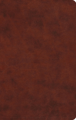 Coperta cărții 'ESV Large Print Value Thinline Bible (Trutone, Chestnut) -'