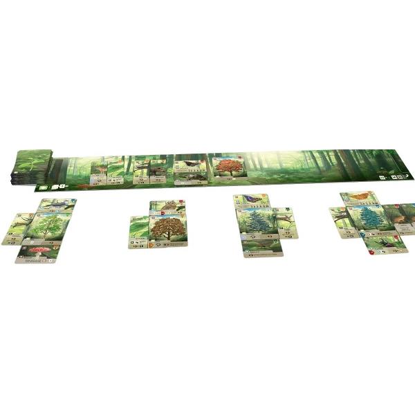 Joc de societate: Padurea aleasa