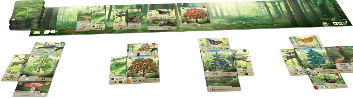 Imaginea produsului 'Joc de societate: Pădurea aleasă'