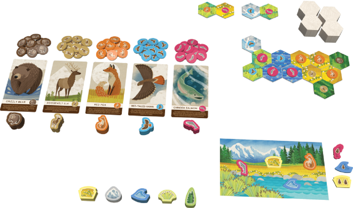 Imaginea produsului 'Joc de strategie: Cascadia Junior'