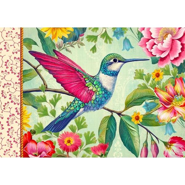 Carnetel ilustrat: Oiseaux