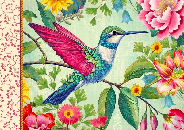 Imaginea produsului 'Carnețel ilustrat: Oiseaux'