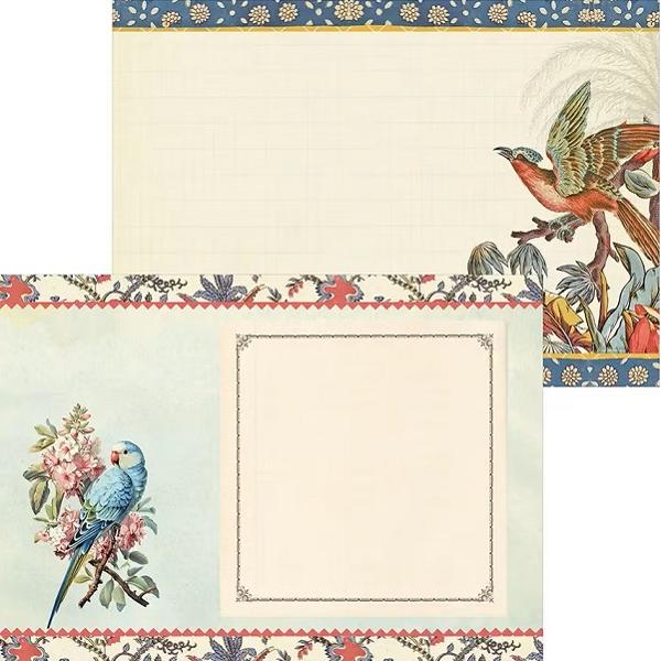 Carnetel ilustrat: Oiseaux