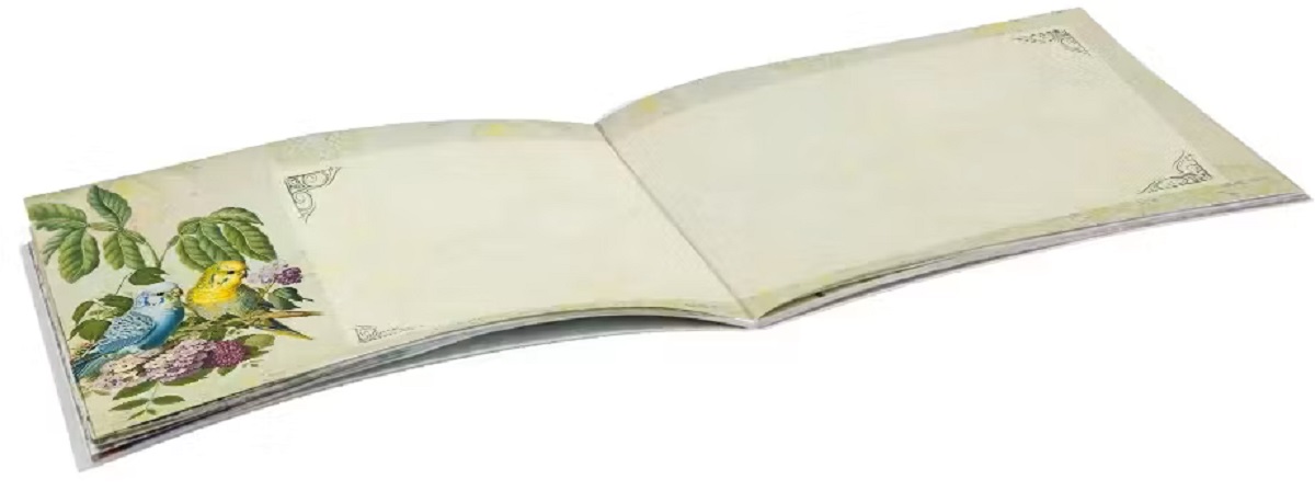 Imaginea produsului 'Carnețel ilustrat: Oiseaux'