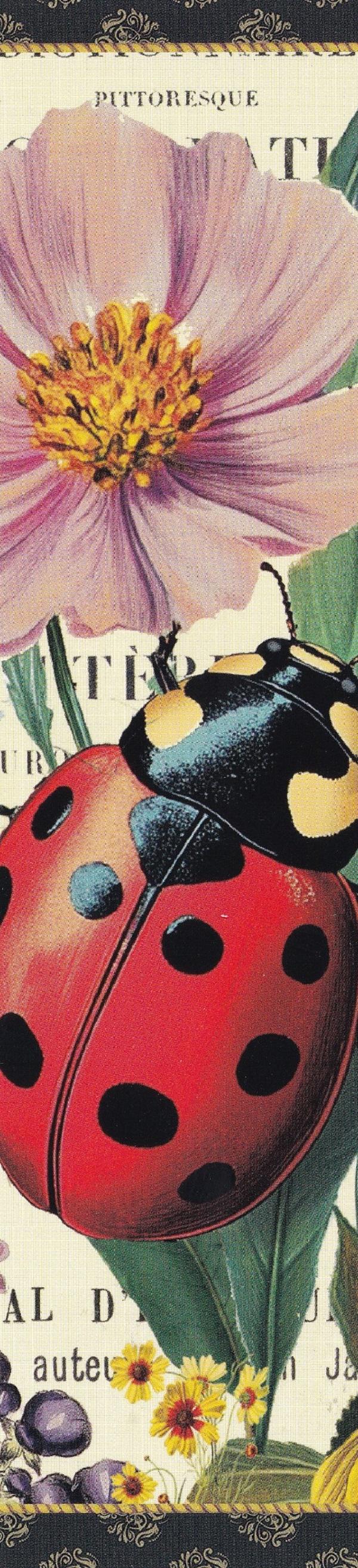 Imaginea produsului 'Semn de carte: Gwenaelle Trolez. Buburuza'