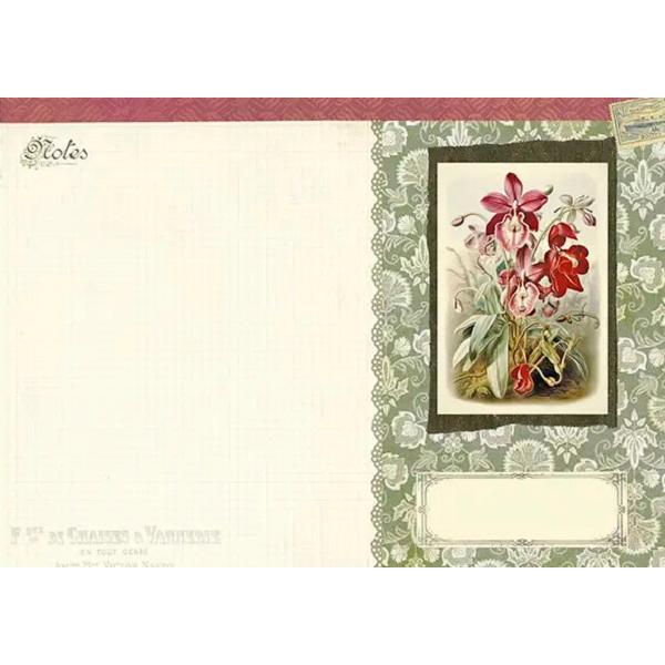 Caiet ilustrat: Jardin Botanique