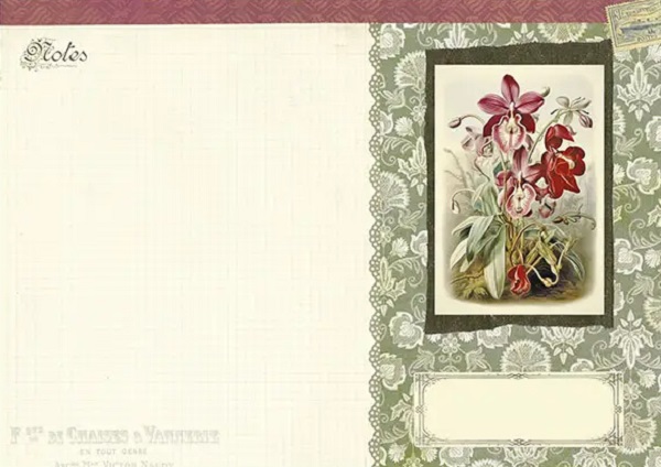 Imaginea produsului 'Caiet ilustrat: Jardin Botanique'