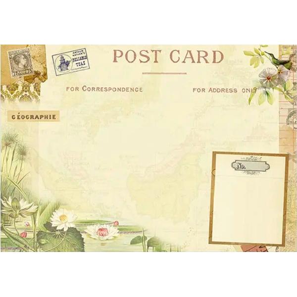 Caiet ilustrat: Bon Voyage