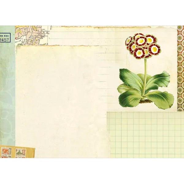 Caiet ilustrat: Bon Voyage