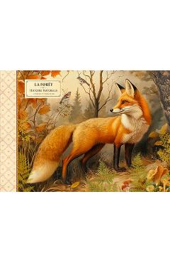 Imaginea produsului 'Carnețel ilustrat: Foret Renard'