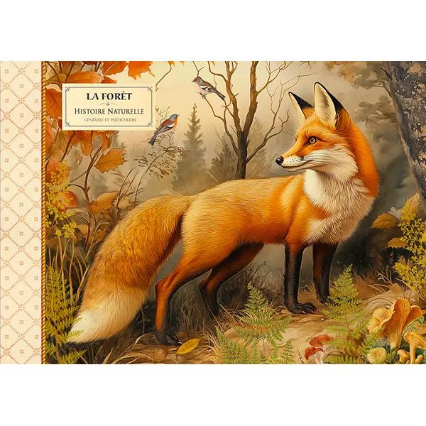 Carnetel ilustrat: Foret Renard