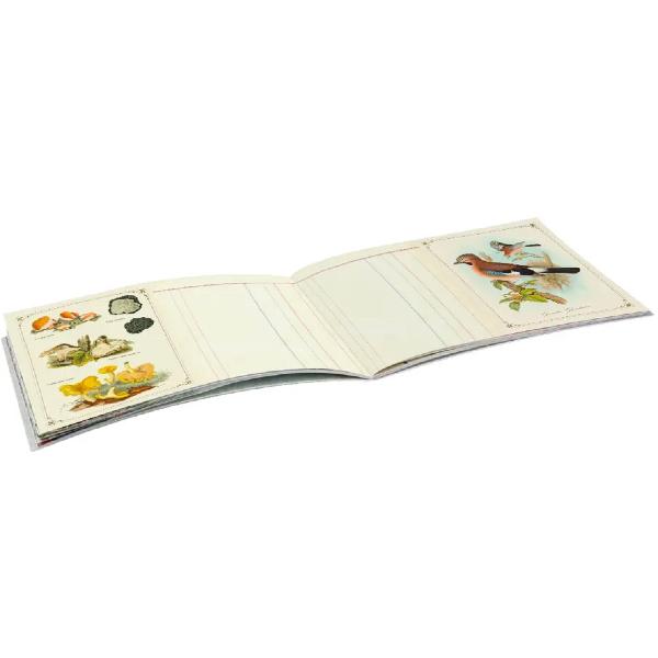 Carnetel ilustrat: Foret Renard