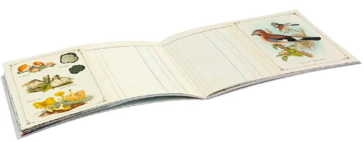 Imaginea produsului 'Carnețel ilustrat: Foret Renard'