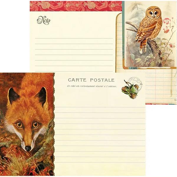 Carnetel ilustrat: Foret Renard