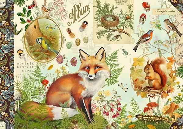 Imaginea produsului 'Caiet ilustrat: Foret'