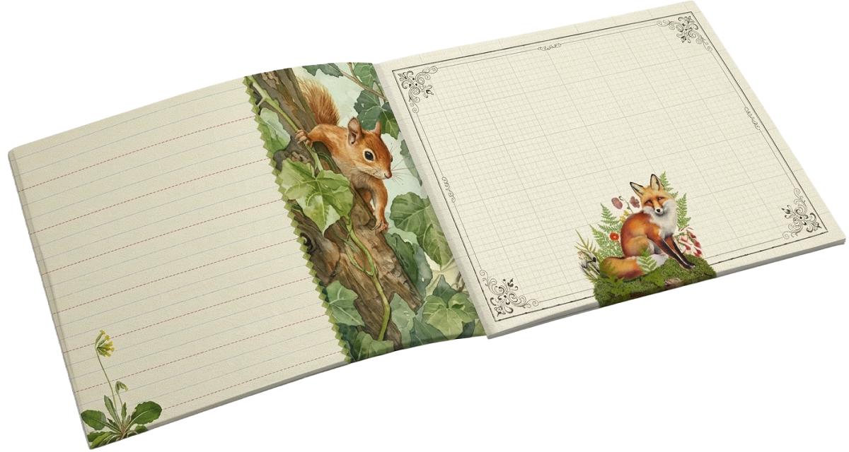 Imaginea produsului 'Caiet ilustrat: Foret'