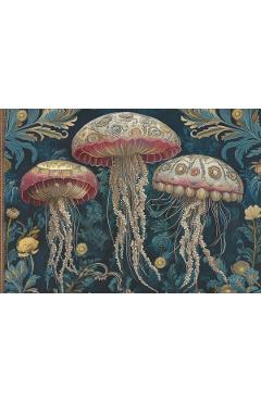 Imaginea produsului 'Caiet ilustrat: Nouveau Meduses'