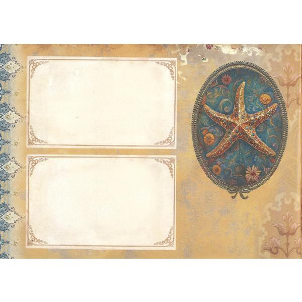 Caiet ilustrat: Nouveau Meduses