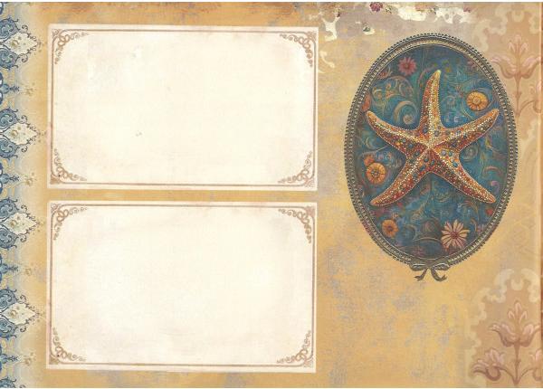 Imaginea produsului 'Caiet ilustrat: Nouveau Meduses'