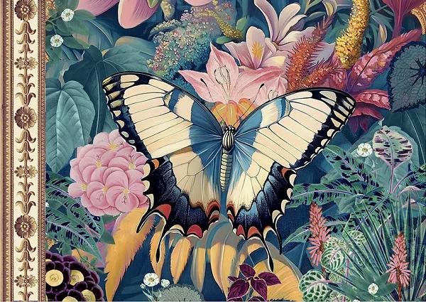 Imaginea produsului 'Caiet ilustrat: Papillons'