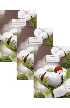 Imaginea produsului 'Set 3 caiete A5 Tip 1. Cotton Soft'