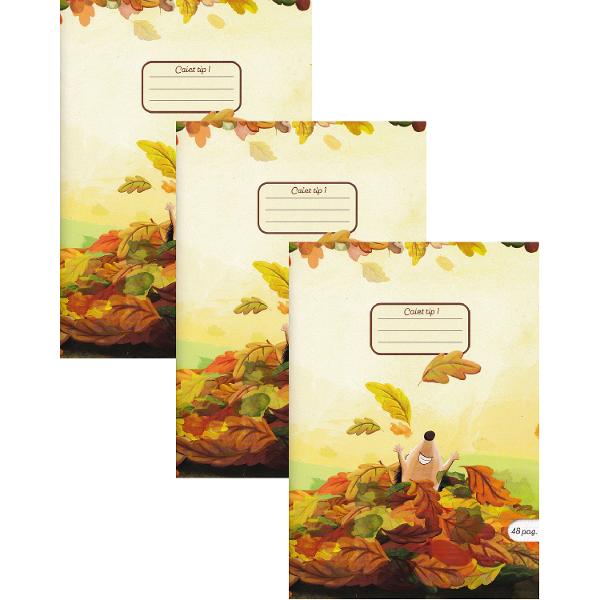 Set 3 caiete A5 Tip 1. Autumn Fun