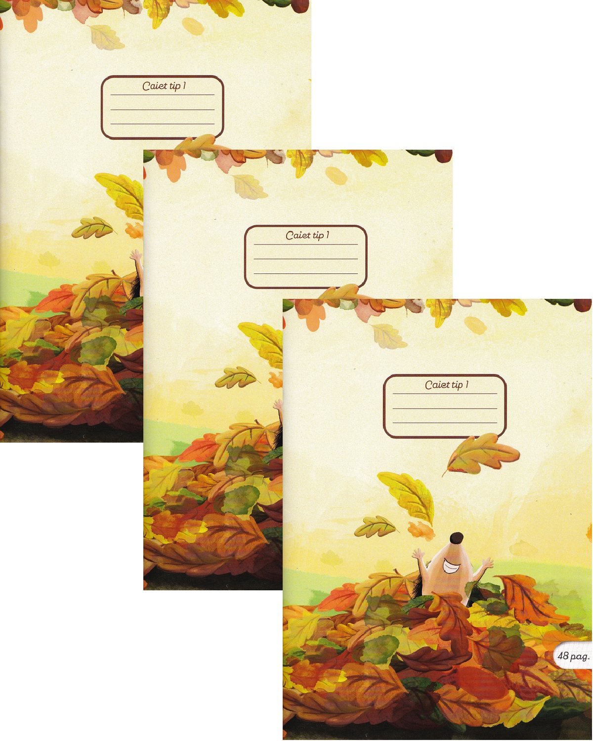 Imaginea produsului 'Set 3 caiete A5 Tip 1. Autumn Fun'