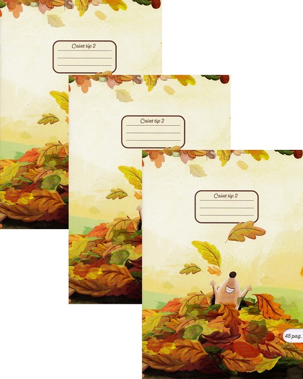Imaginea produsului 'Set 3 caiete A5 Tip 2. Autumn Fun'