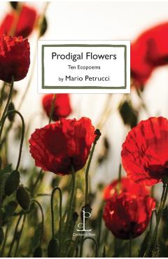 Coperta cărții 'Prodigal Flowers - Mario Petrucci'