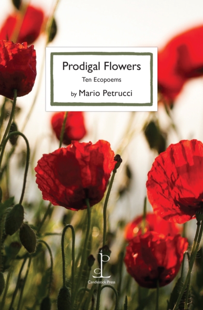 Coperta cărții 'Prodigal Flowers - Mario Petrucci'