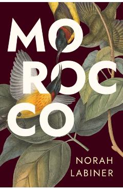 Coperta cărții 'Morocco - Norah Labiner'