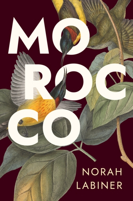 Coperta cărții 'Morocco - Norah Labiner'
